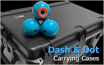 Dash and Dot Case