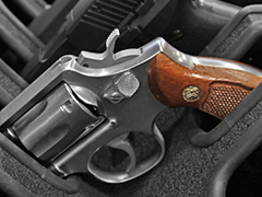 Handgun Case Holds Revolvers
