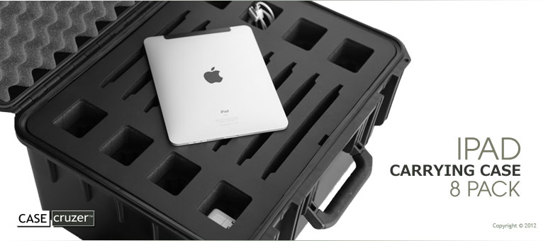 iPad 8 pack carrying case