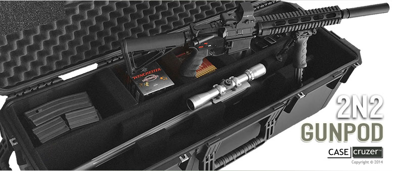 2 Gun and Handgun Case