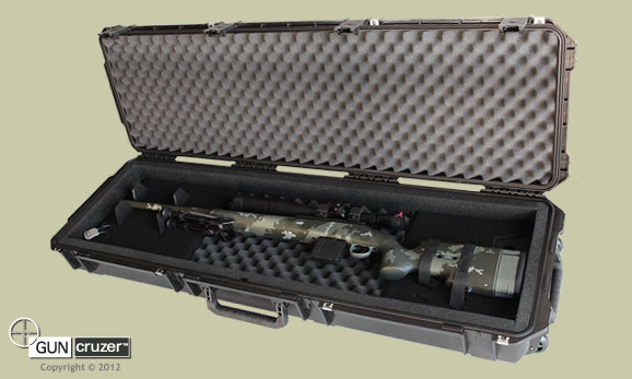 gun carrying case